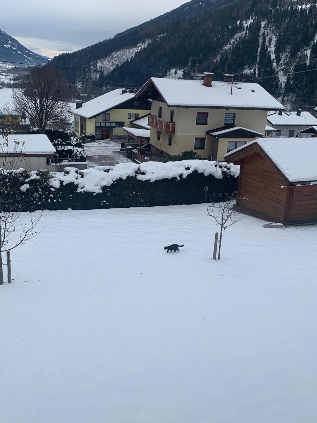 Panorama Apartments Semslach Obervellach Exteriör bild