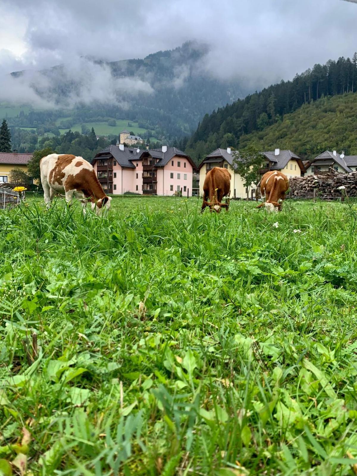 Panorama Apartments Semslach Obervellach Exteriör bild